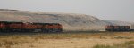 BNSF 9056-BNSF 6931-BNSF 7216 and BNSF 6637-BNSF 6021-NS 9436-BNSF 9127